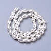 Polished Shell Pearl Beads Strands X-BSHE-L042-A02-3