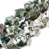 Natural Tree Agate Beads Strands G-U023-C01-08-2