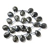 Natural Labradorite Beads Strands G-D864-12B-01-2