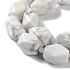 Natural Howlite Beads Strands G-C182-23-02-4