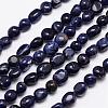 Natural Sodalite Bead Strands G-L459-28-1