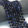 Natural Sodalite Beads Strands G-C116-A19-02-1