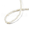 Natural White Shell Bead Strands X-SSHEL-N003-144A-01-4