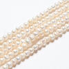 Natural Cultured Freshwater Pearl Beads Strands A23WT011-5