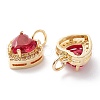 Brass Micro Pave Cubic Zirconia Charms ZIRC-A019-14G-C-2