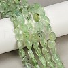 Natural Prehnite Beads Strands G-R445-8x10-25-01-1