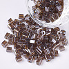6/0 Glass Seed Beads SEED-S027-05B-02-1