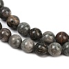 Natural Gemstone Beads Strands G-F792-C11-06-4