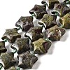 Natural Dragon Blood Beads Strands G-U023-C01-07-2