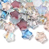 Transparent Smooth and Frosted Glass Beads GLAA-O023-19-1