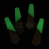 Luminous Glow in the Dark Wood & Resin Pendant WOOD-H104-01-4