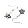 Natural Abalone Shell/Paua Shell Dangle Earring EJEW-JE05915-6