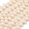 Natural Cultured Freshwater Pearl Beads Strands PEAR-I007-04G-01A-2