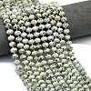 Natural Sesame Jasper Beads Strands G-P573-A34-01-1