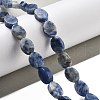 Natural Blue Spot Jasper Beads Strands G-P559-B26-01-2