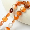 Flat Round Gemstone Natural Red Agate Stone Beads Strands G-S110-14mm-03-5