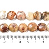 Flat Round Natural Crazy Lace Agate Beads Strands G-S110-12mm-05-4
