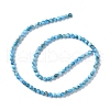 Natural Apatite Beads Strands G-I254-08F-3