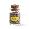 Glass Wishing Bottle DJEW-L012-01-2