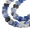 Natural Blue Spot Jasper Beads Strands G-M403-A21-02-4