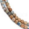 Dyed Natural Regalite/Imperial Jasper/Sea Sediment Jasper Beads Strands G-B124-C04-13-2