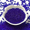Transparent Colours Glass Seed Beads X1-SEED-P006-02A-16-2