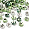 Opaque Resin European Beads RESI-C059-01H-1