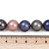 Grade A Shell Pearl Beads Strands PEAR-XCP0001-13A-5