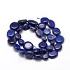 Natural Lapis Lazuli Gemstone Nuggets Bead Strands G-J336-31-2