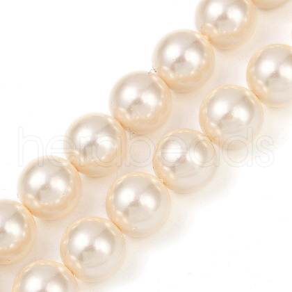 Shell Pearl Beads Strands BSHE-XCP0001-62A-1