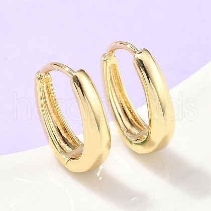 Oval Brass Hoop Earrings EJEW-Z102-33G-1