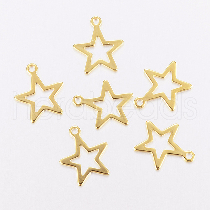 201 Stainless Steel Charms STAS-F162-13G-1