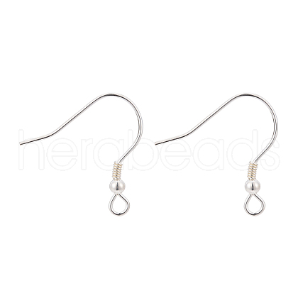925 Sterling Silver Earring Hooks STER-T002-166S-1