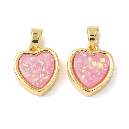 Resin Charms KK-XCP0002-03-1