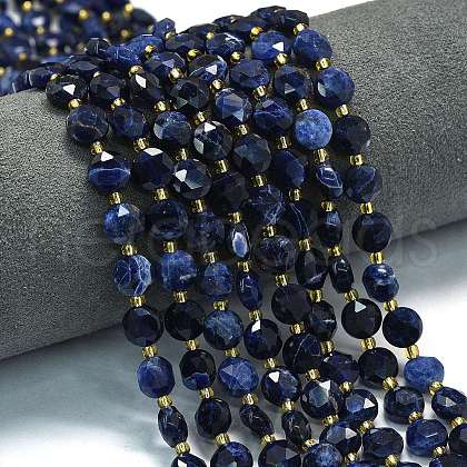 Natural Sodalite Beads Strands G-C116-A19-02-1