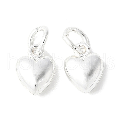 Alloy Pendants FIND-B046-03B-S-1