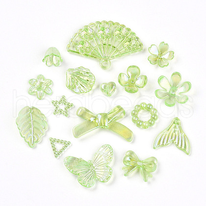 Transparent Acrylic Beads OACR-N137-73E-1