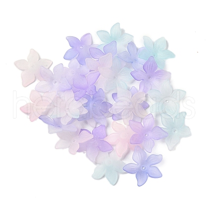 Transparent Acrylic Beads Caps OACR-B022-02C-1