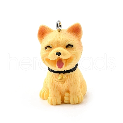 Opaque Resin Pendants CRES-D310-01D-1