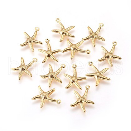 304 Stainless Steel Charms X-STAS-E447-19G-1