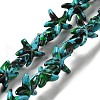 Synthetic Turquoise Dyed Beads Strands G-P507-04B-1