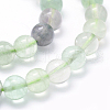 Natural Fluorite Beads Strands G-P335-19-8mm-3