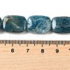 Natural Apatite Beads Strands G-Q026-B01-03-5