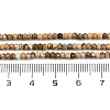 Natural Picture Jasper Beads Strands G-P572-A01-01-5