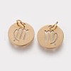 Ion Plating(IP) 304 Stainless Steel Pendants A-STAS-Q201-T445-6G-2