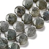 Natural Labradorite Beads Strands G-NH0004-001-1