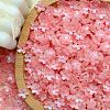 Electroplate Transparent Glass Beads PW-WG44A55-02-1