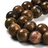 Natural Bumblebee Jasper Beads Strands G-G053-A01-01-4