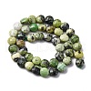 Natural Serpentine Beads Strands G-C179-A48-03-3
