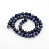 Sodalite Round Bead Strands G-P070-46-4mm-2